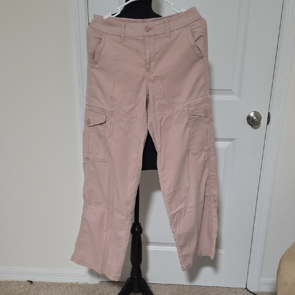 American Eagle Outfitters Blush Pink Stretch Cargo Pants